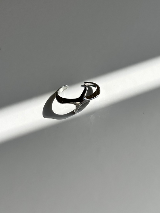 ASTER RING